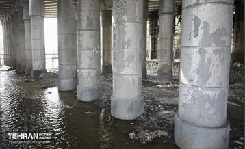 بازدید دانشجویان از پروژه مقاوم‌سازی پل تقاطع بزرگراه همت و رودخانه کن 24