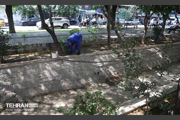 مبارزه با جانوران موذی 15