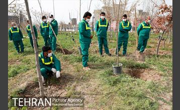 آیین درختکارى خبرنگاران در بوستان زندگى 2