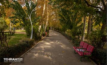 سمفونی رنگ های پاییزی - پارک لاله 15