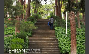 بوستان ساعی 6