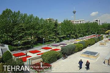 رویش گل های لاله در بوستان گفتگو 1