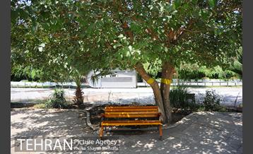 بوستان بسیج 1