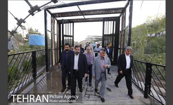 شبگردی اصحاب رسانه در منطقه چهار شهرداری تهران  2