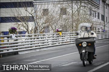 استقبال از بهار در خیابانهای تهران 7