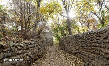 طبیعت پاییزی کوچه باغ‌های محله کن 21