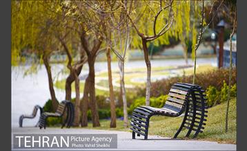 باغ راه فدک 16