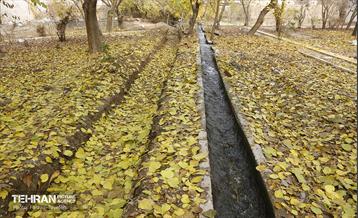 مراحل احداث پروژه ی باغ باهنر 30