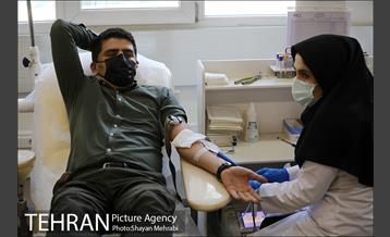 پویش سه شنبه های بدون خودرو 29