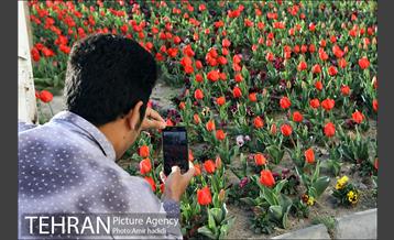 جشنواره لاله‌ها در بوستان زندگی محله هرندی 2