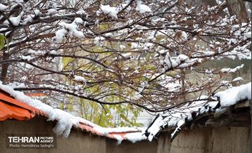 درکه پس از بارش برف  18