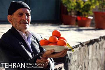 نخستین جشنواره خرمالو در روستای کشار سفلی 16