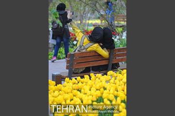 باغ ایراتی (بوستان مهندس مختاری) 7