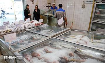 تور بازدید از میادین و بازارهای میوه و تره‌بار شهرداری تهران 28