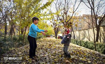 گذرگاه های پاییزی پایتخت - منطقه 14