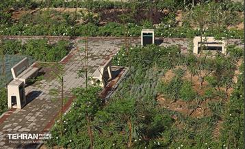 بهره‌برداری از بوستان ایران و مجموعه شهردخت منطقه 10 29