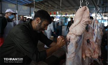 بازدید از مرکز عرضه بهداشتی دام ویژه عید قربان 24