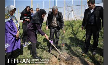 مراسم درختکاری باشگاه سایپا در حضور علی دایی و قهرمانان ملی 18