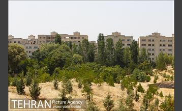 بوستان جنگلی یاس فاطمی 9