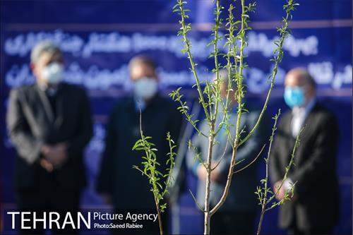 بازدید و افتتاح پروژه جنگل کاری 1000هکتاری در بوستان جنگلی تلو 19