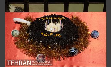 جشن تولد جوجه درنای تاج خاکستری آفریقایی 6