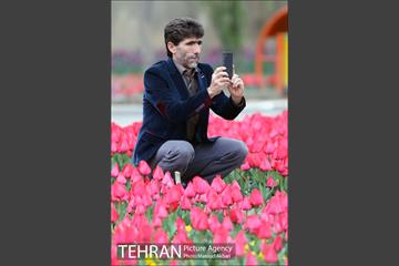 جشنواره لاله‌ها در بوستان زندگی محله هرندی 17