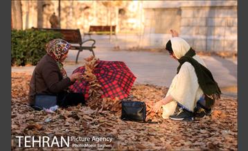 به رنگ پاییز 20