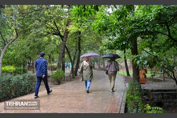 بارش باران پاییزی در تهران 13