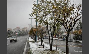 عکاسی با تلفن همراه