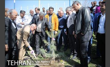 مراسم درختکاری باشگاه سایپا در حضور علی دایی و قهرمانان ملی 14