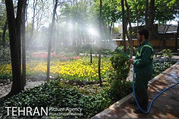 رویش گل های لاله در باغ ایرانی 6