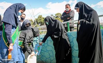 گرامیداشت سرو قامتان شهید سلامت در منطقه ۸