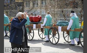 حرکت کاروان نوروزی در محله های شمال شرق تهران 6