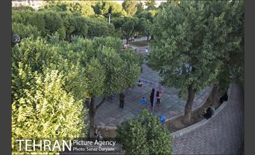 بوستان شقایق 11