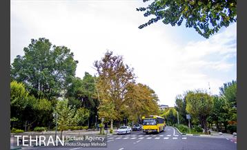 پاییز بوستان لاله 34