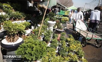 بازار گل شهید محلاتی در آخرین روزهاى سال 16