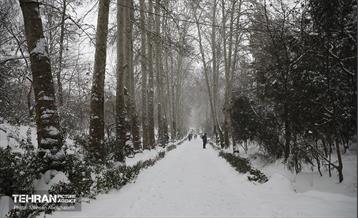 روز برفی تهران - 2 18
