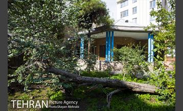 بازدید شهردار تهران ار خانه نیما یوشیج 4