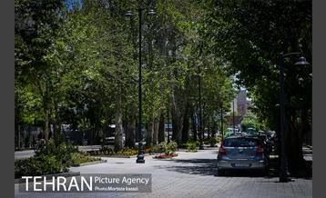 مراحل آماده سازی گذر پیاده راه استاد شهریار 13