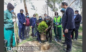 جشن نهال هاى کوچک شهر و تخم مرغ هاى رنگى در منطقه ٩