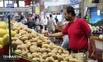 تور رسانه‌ای بازدید از بازارهای میوه و تره‌بار 24