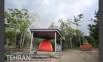 پارک جنگلی لویزان‎ 7