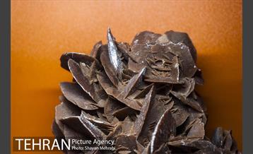 موزه علوم زمین 22