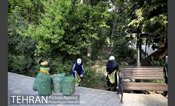 طرح پاکسازی پارک شهر تهران از فیلترهای سیگار  26