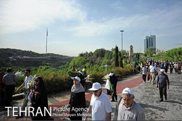 همایش پیاده روی خانوادگی کارکنان شهرداری 29
