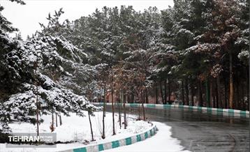 روز برفی در بوستان جنگلی سرخه‌حصار 19