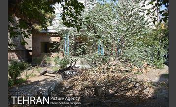 خانه نیما یوشیج 3