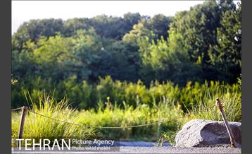 باغ گیاه شناسی ملی ایران  25