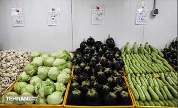 صد و سی و نهمین پویش امید و افتخار 23