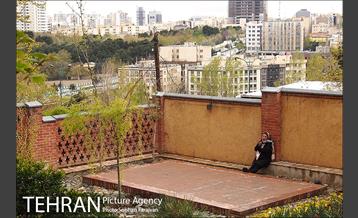 روز طبیعت بارانی در باغ ایرانی 24